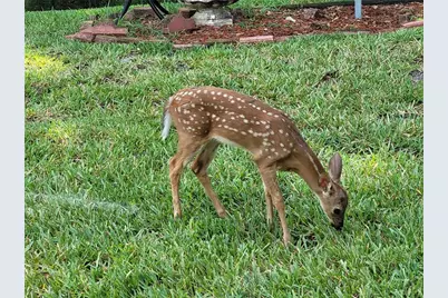 13699 SW 111th Avenue, Dunnellon, FL 34432 - Photo 74