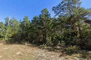 Lot 5 Unit 1 Blk 94 Pinehurst Ave, Chipley, FL 32428 - Photo 1