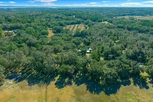 5824 SE 185 Ave, Micanopy, FL 32667 - Photo 88