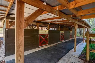 5824 SE 185 Ave, Micanopy, FL 32667 - Photo 60