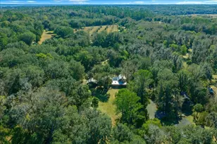 5824 SE 185 Ave, Micanopy, FL 32667 - Photo 82