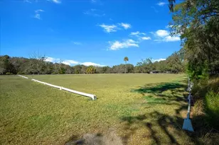 5824 SE 185 Ave, Micanopy, FL 32667 - Photo 74