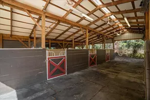 5824 SE 185 Ave, Micanopy, FL 32667 - Photo 58