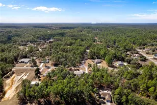 7567 N Fountainhead Dr, Citrus Springs, FL 34433 - Photo 60