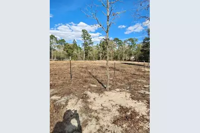 13105 SW 91st Place, Dunnellon, FL 34432 - Photo 2