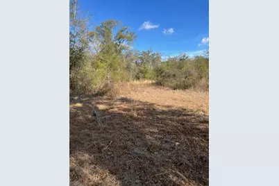 Nw 7th Street, Ocala, FL 34482 - Photo 2