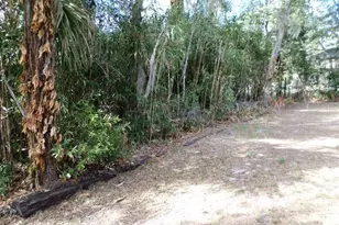 11606 Kennesaw Rd, Dunnellon, FL 34431 - Photo 30