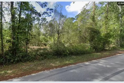 505 Hickory Nut Trail, Satsuma, FL 32189 - Photo 1