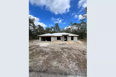 3 Guava Pass Run, Ocklawaha, FL 32179 - Photo 1