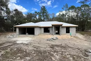 3 Guava Pass Run, Ocklawaha, FL 32179 - Photo 1