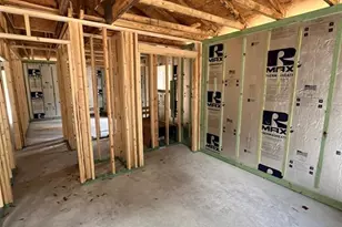 3 Guava Pass Run, Ocklawaha, FL 32179 - Photo 8