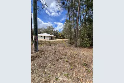 3 Guava Pass Run, Ocklawaha, FL 32179 - Photo 22