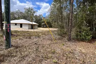 3 Guava Pass Run, Ocklawaha, FL 32179 - Photo 22