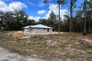 3 Guava Pass Run, Ocklawaha, FL 32179 - Photo 20