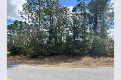 0 SW 129th Pl, Ocala, FL 34473 - Photo 6