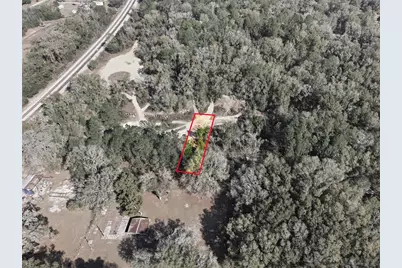 Lot 026 NE 164th Lane, Citra, FL 32113 - Photo 18