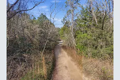Lot 027 NE 164th Lane, Citra, FL 32113 - Photo 32
