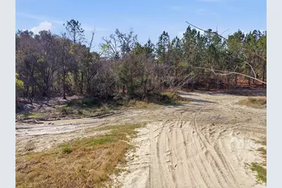 Lot 027 NE 164th Lane, Citra, FL 32113 - Photo 34