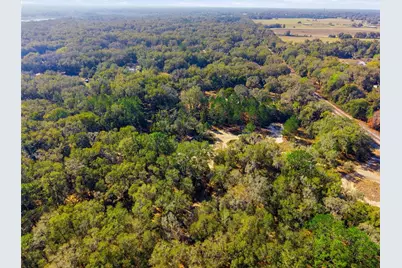Lot 028 NE 164th Lane, Citra, FL 32113 - Photo 18