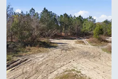 Lot 028 NE 164th Lane, Citra, FL 32113 - Photo 28