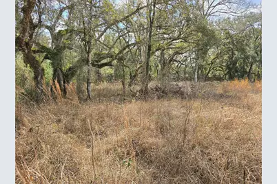 6436 Yam Street, Webster, FL 33597 - Photo 1