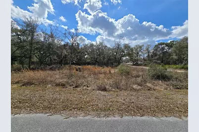 6436 Yam Street, Webster, FL 33597 - Photo 4