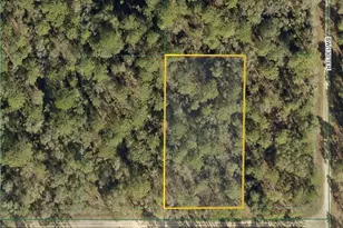 Tdb SW 87th St, Ocala, FL 34481 - Photo 1