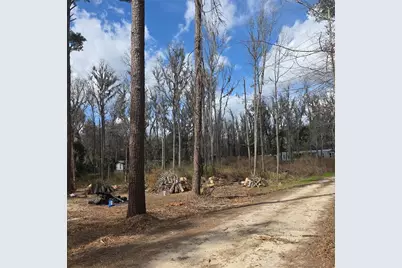 Sw 11th Street Rd, Ocala, FL 34481 - Photo 4