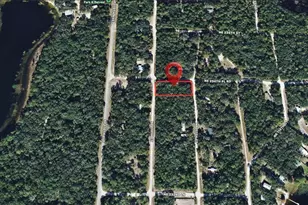 Tbd NE 234th Pl Rd, Fort Mc Coy, FL 32134 - Photo 1