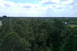 000 NE 189th Ln, Citra, FL 32113 - Photo 1