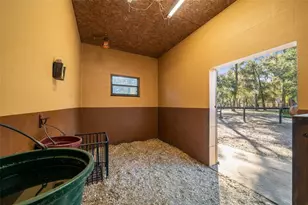 3551 E Hwy 329, Anthony, FL 32617 - Photo 54