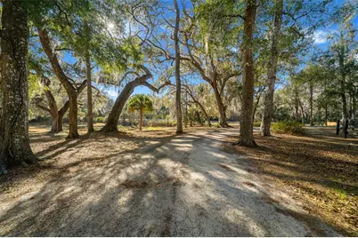 3551 E Highway 329, Anthony, FL 32617 - Photo 8