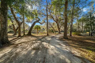 3551 E Hwy 329, Anthony, FL 32617 - Photo 8