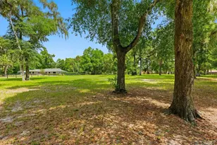 3551 E Hwy 329, Anthony, FL 32617 - Photo 50