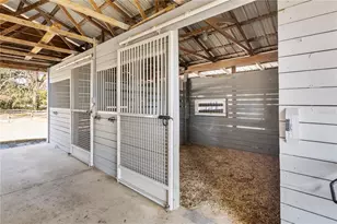 4495 SE 150th St, Summerfield, FL 34491 - Photo 54