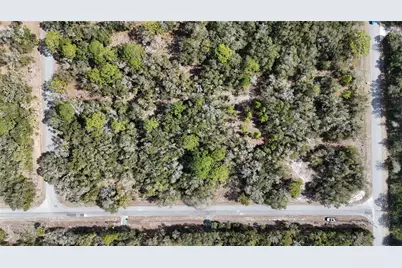 12786 W Cornflower Drive, Crystal River, FL 34428 - Photo 2