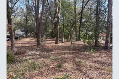 5841 SE 164th Avenue, Ocklawaha, FL 32179 - Photo 4