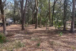 5841 SE 164 Ave, Ocklawaha, FL 32179 - Photo 4