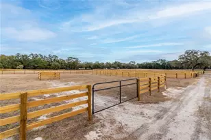 6170 NW 135th Ave, Morriston, FL 32668 - Photo 20