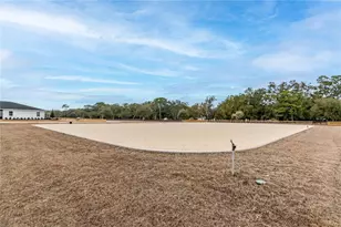 6170 NW 135th Ave, Morriston, FL 32668 - Photo 18