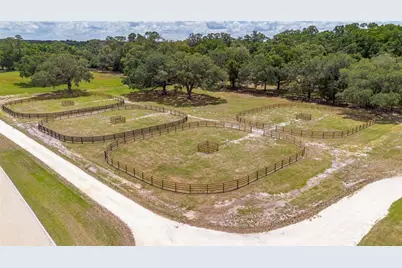6170 NW 135th Avenue, Morriston, FL 32668 - Photo 48