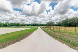 6170 NW 135th Ave, Morriston, FL 32668 - Photo 28