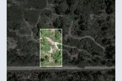 3341 & 3343 Pheasant Avenue, Lake Placid, FL 33852 - Photo 20