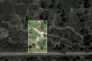 3341 & 3343 Pheasant Ave, Lake Placid, FL 33852 - Photo 20