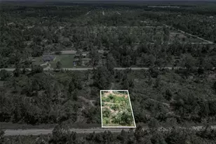 3341 & 3343 Pheasant Ave, Lake Placid, FL 33852 - Photo 18