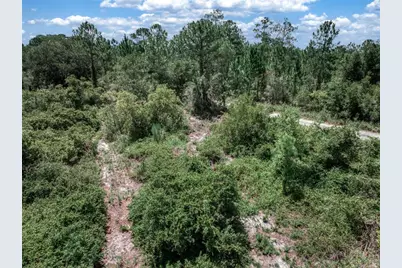 3341 & 3343 Pheasant Avenue, Lake Placid, FL 33852 - Photo 14