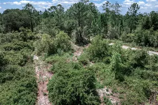 3341 & 3343 Pheasant Ave, Lake Placid, FL 33852 - Photo 14