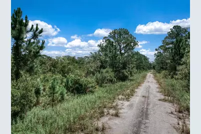 3341 & 3343 Pheasant Avenue, Lake Placid, FL 33852 - Photo 12