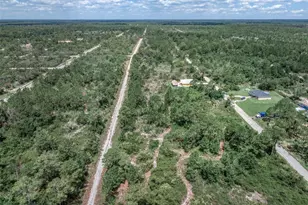 3341 & 3343 Pheasant Ave, Lake Placid, FL 33852 - Photo 6