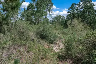 3341 Pheasant Ave, Lake Placid, FL 33852 - Photo 6